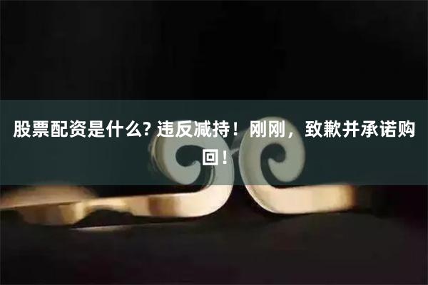 股票配资是什么? 违反减持！刚刚，致歉并承诺购回！