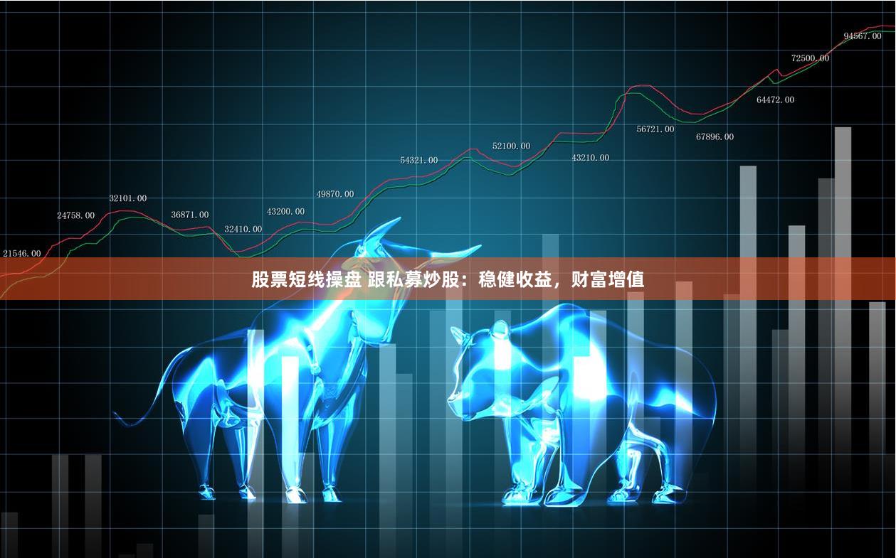 股票短线操盘 跟私募炒股：稳健收益，财富增值