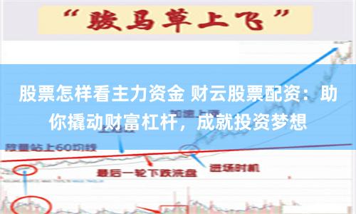 股票怎样看主力资金 财云股票配资：助你撬动财富杠杆，成就投资梦想