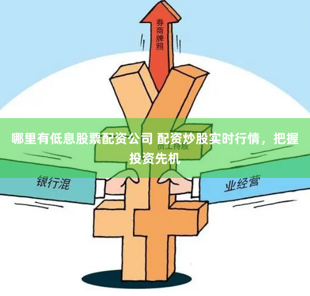 哪里有低息股票配资公司 配资炒股实时行情,把握投资先机