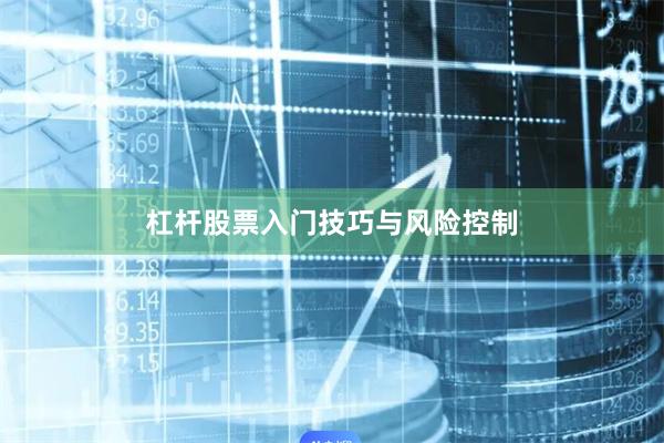 杠杆股票入门技巧与风险控制